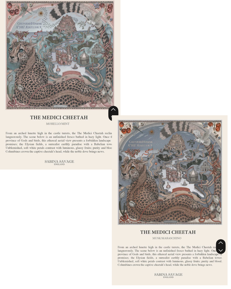 Pre-Order The Medici Cheetah Pencil Silk Oxford Shirt