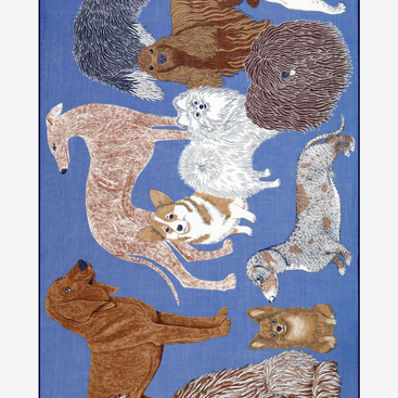 Toutou Cotton Scarf 100 in Blue