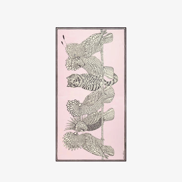 Caracat Cotton Scarf 100 in Nude