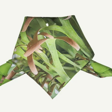 Bali Epiphytes Silk Square Scarf